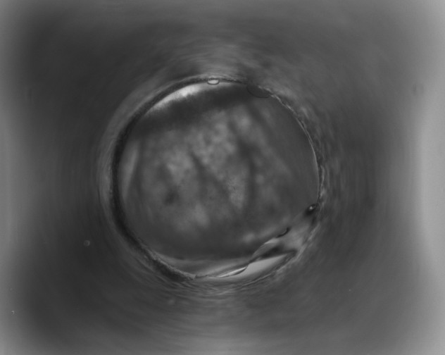 X0000089680247200707201705