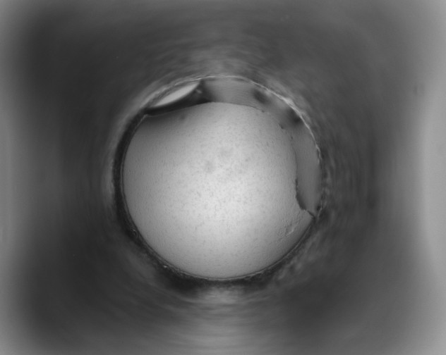 X0000089680248200707201705