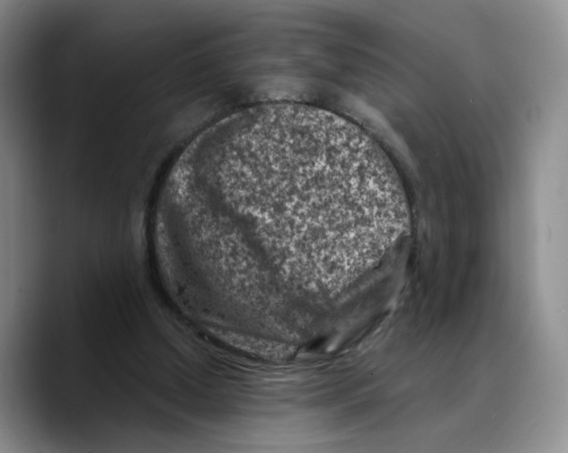 X0000089680250200707201705