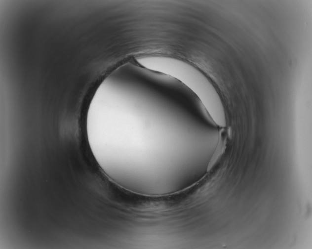 X0000089680252200707201706