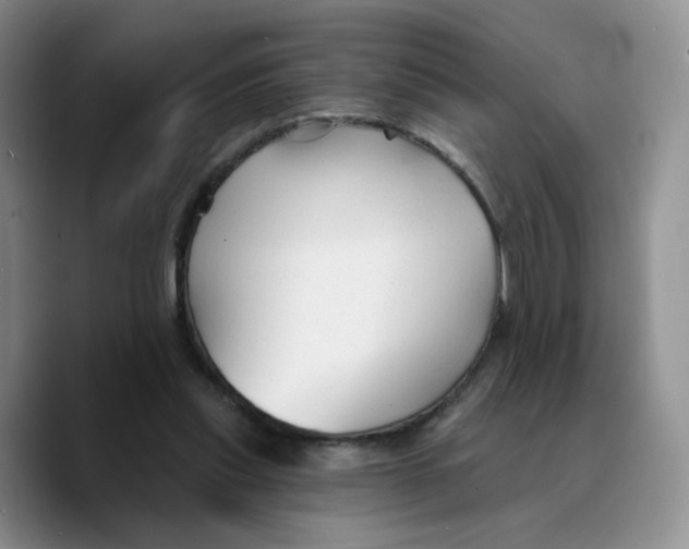 X0000089680253200707201706