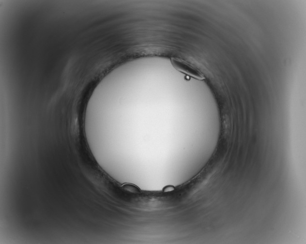 X0000089680254200707201706