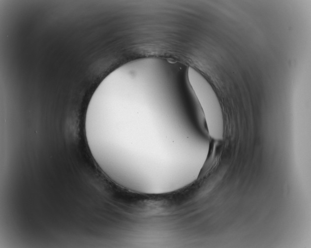 X0000089680255200707201706