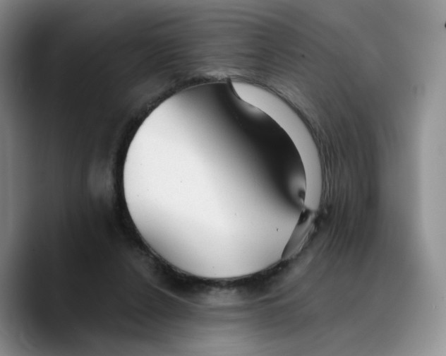 X0000089680256200707201706
