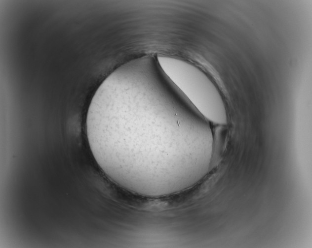 X0000089680257200707201706