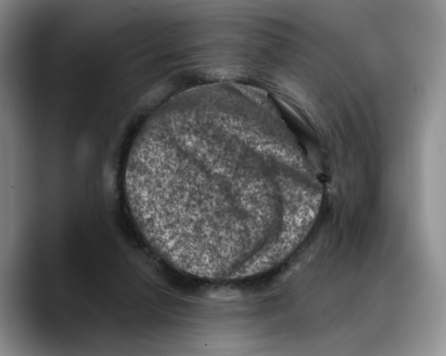 X0000089680258200707201706