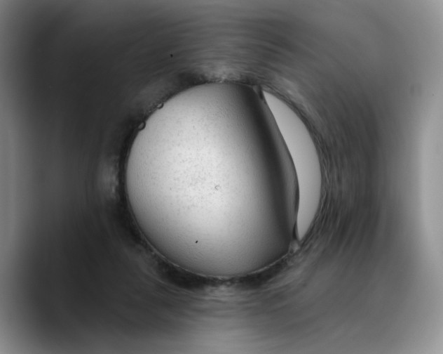 X0000089680259200707201706