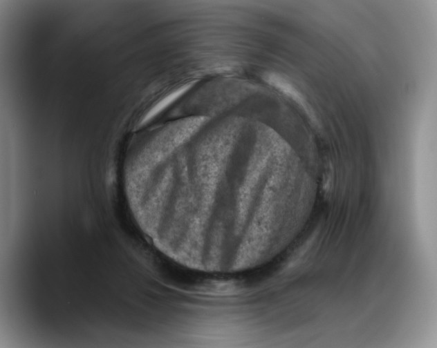 X0000089680260200707201706