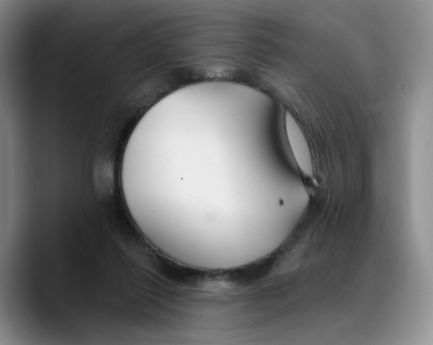 X0000089680262200707201706