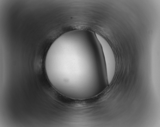 X0000089680263200707201706