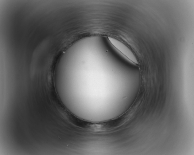 X0000089680265200707201706
