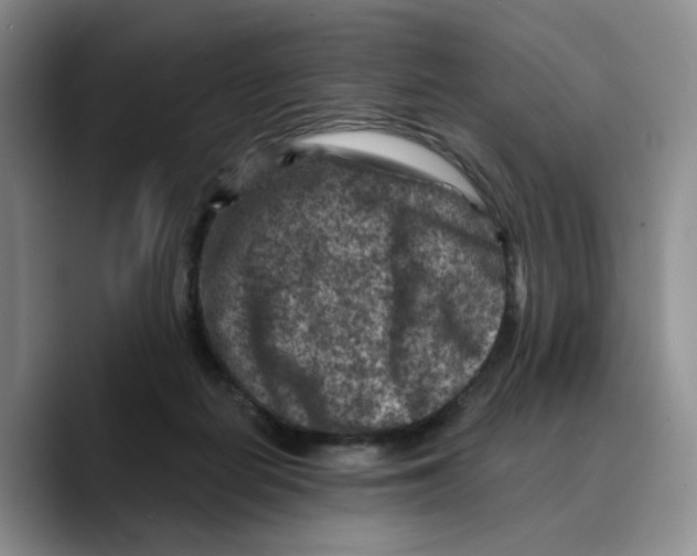 X0000089680266200707201706