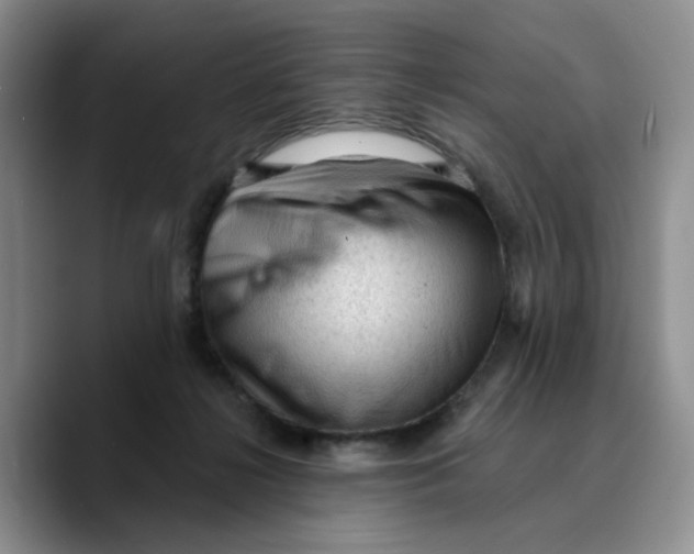 X0000089680268200707201706