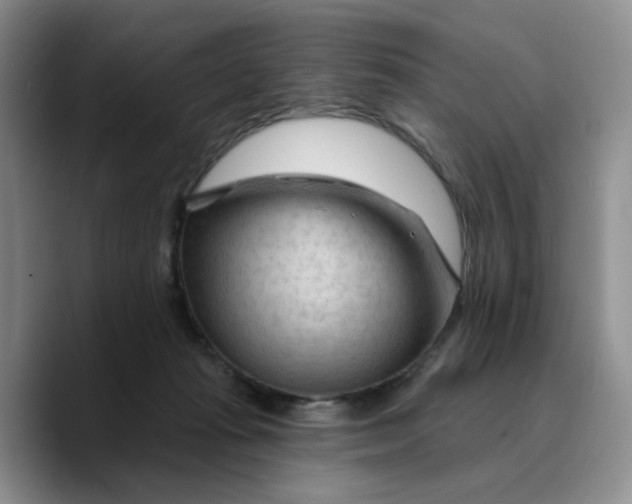 X0000089680269200707201706