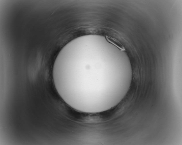 X0000089680270200707201706