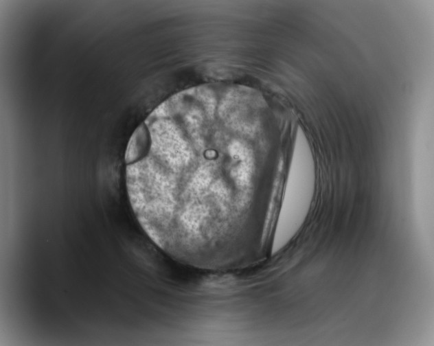 X0000089680271200707201706