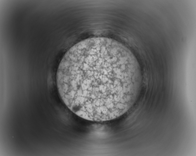 X0000089680272200707201706
