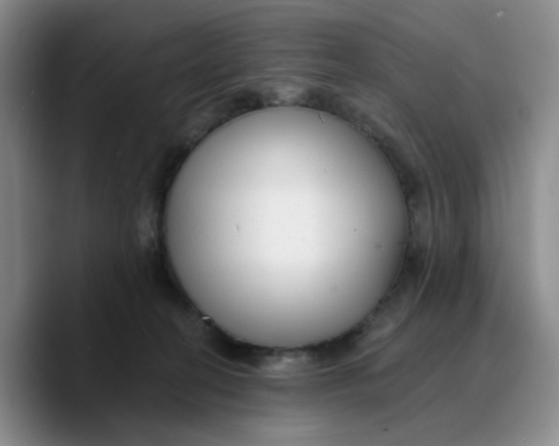 X0000089680274200707201706