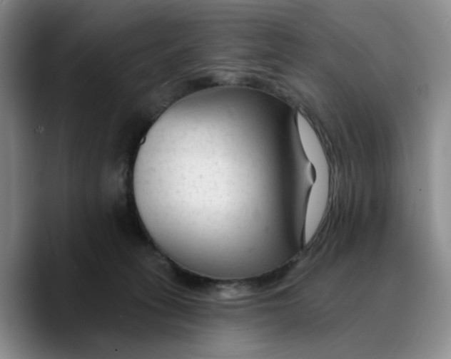 X0000089680275200707201706