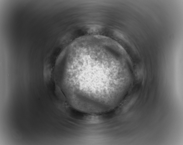 X0000089680276200707201706