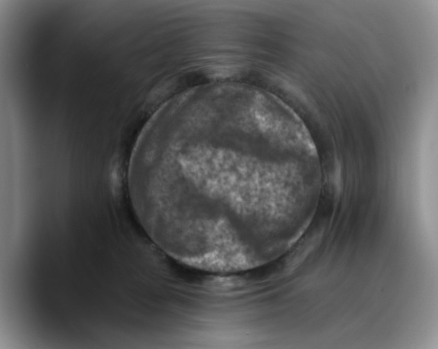 X0000089680277200707201706