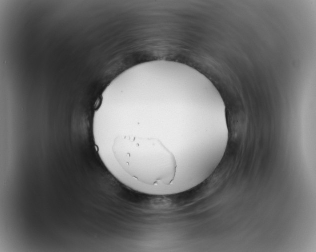 X0000089680279200707201706