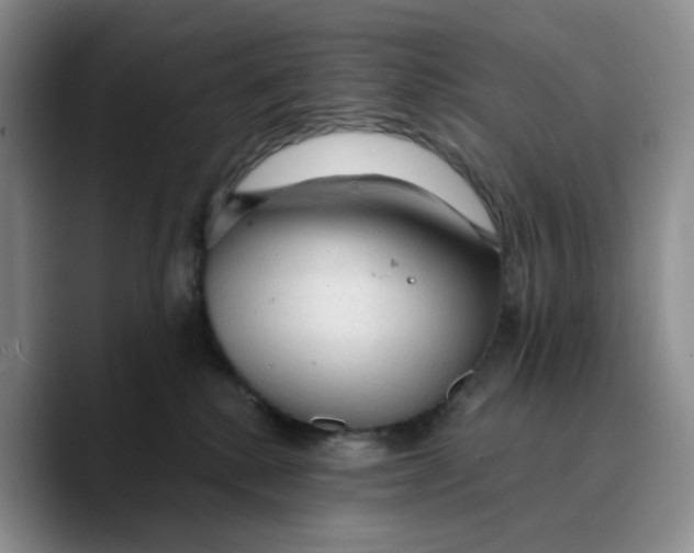 X0000089680280200707201706