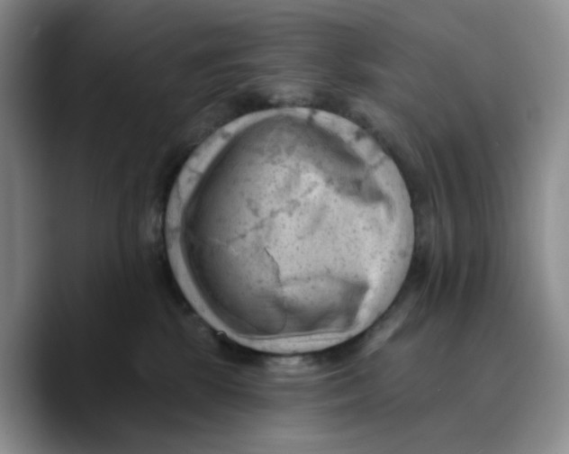 X0000089680281200707201706