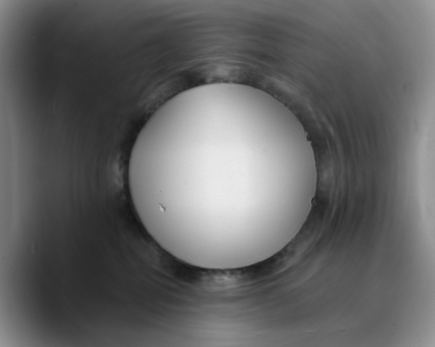 X0000089680282200707201706