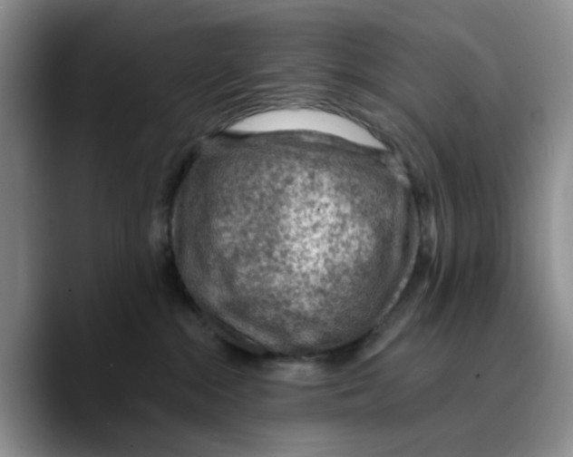 X0000089680284200707201706