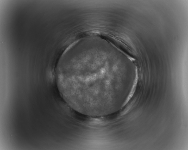 X0000089680285200707201706