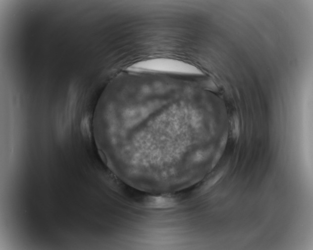 X0000089680286200707201706