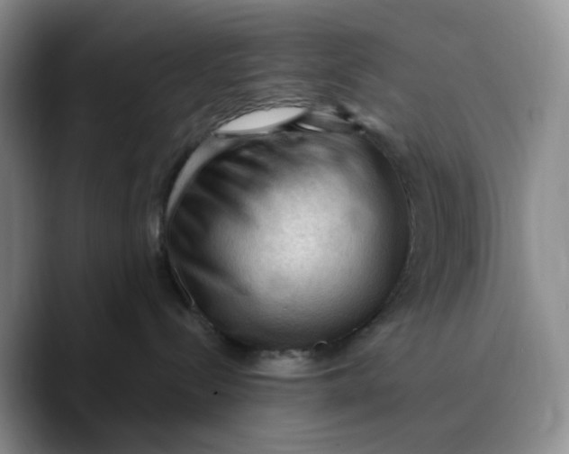X0000089680288200707201706