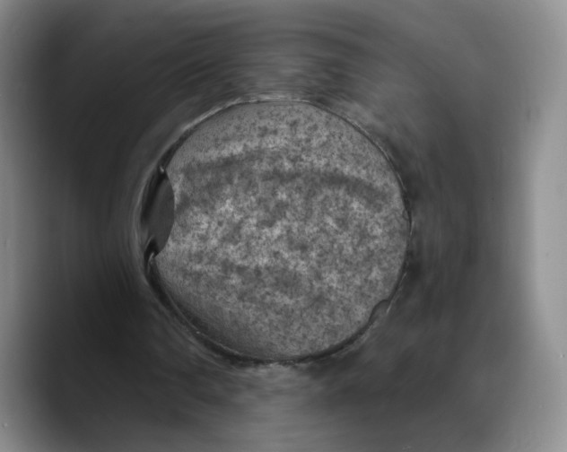 X0000089680290200707201705