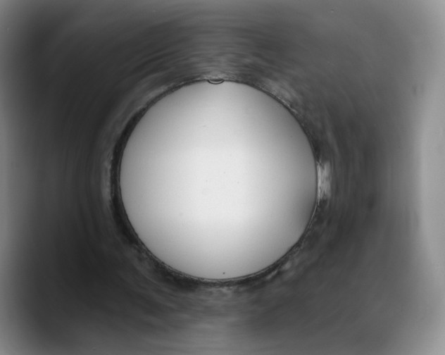 X0000089680291200707201705