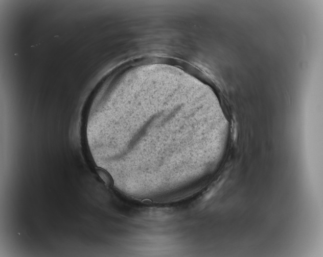 X0000089680292200707201705