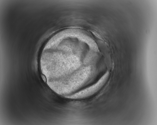 X0000089680294200707201705