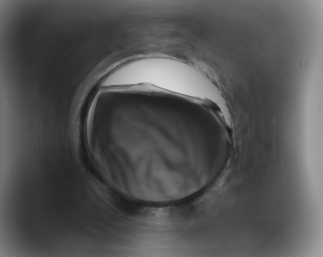 X0000089680295200707201705