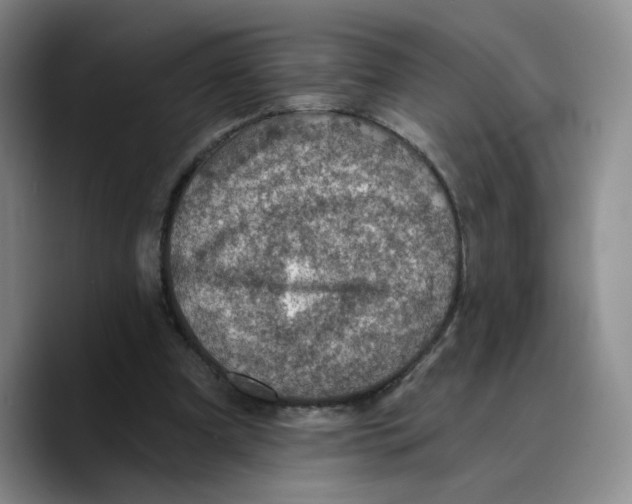 X0000089680297200707201705