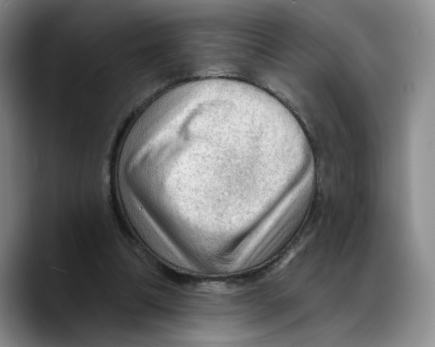 X0000089680298200707201705