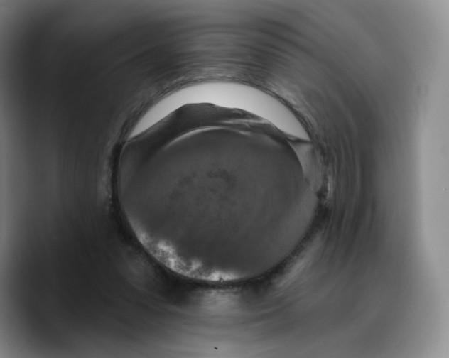 X0000089680303200707201705
