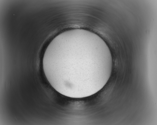 X0000089680304200707201705