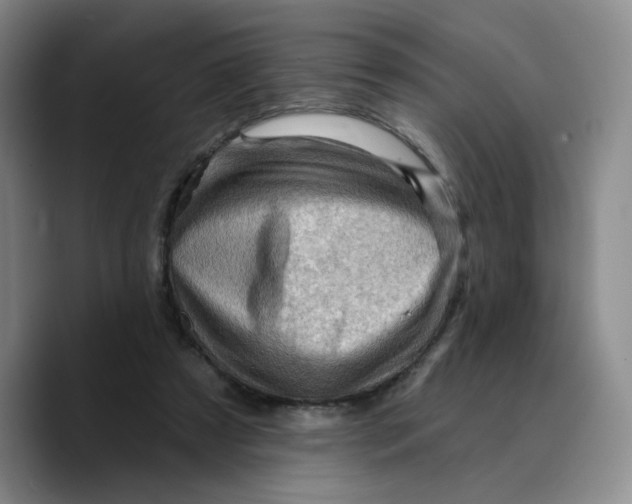 X0000089680305200707201705