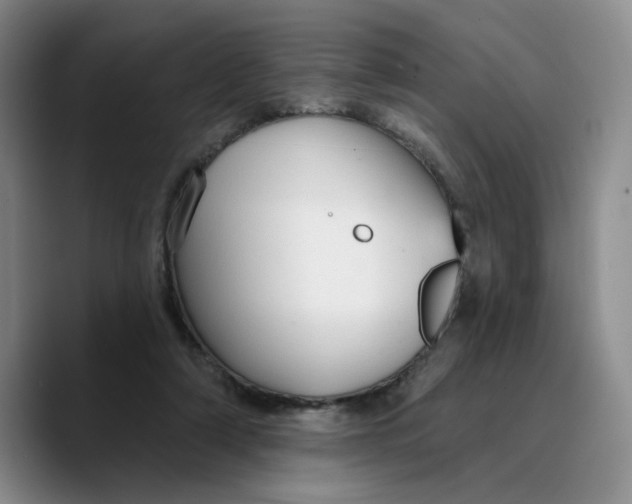 X0000089680306200707201705