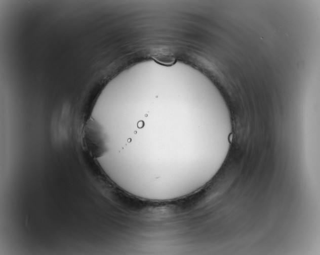 X0000089680307200707201705
