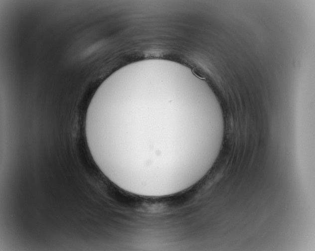 X0000089680311200707201705