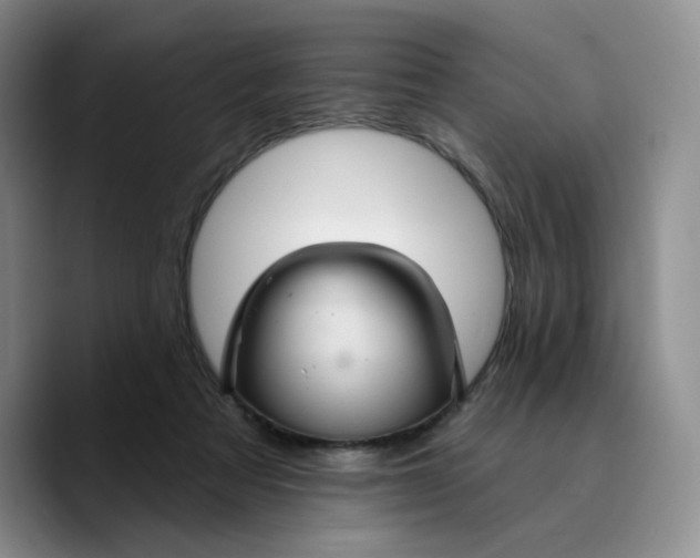 X0000089680313200707201705