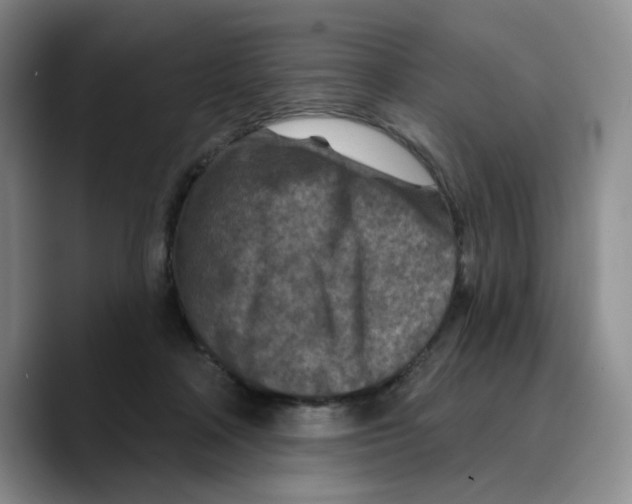 X0000089680314200707201705
