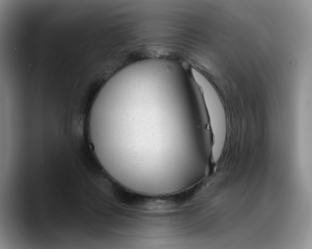 X0000089680315200707201705