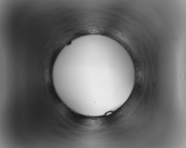 X0000089680317200707201705